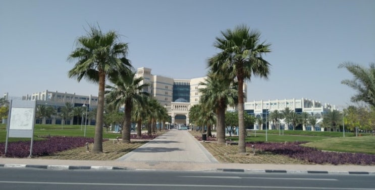 카타르에서 병원 다녀온 후기들 ( 신경외과 피부과 외과 치과 산부인과 다이어트약) 긴글주의