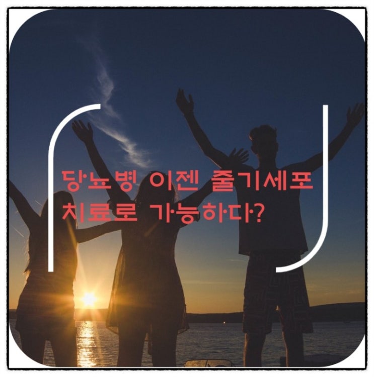  당뇨병 이젠 줄기세포치료로 가능하다?