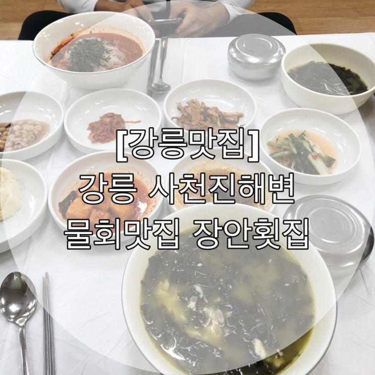  [강릉맛집] 강릉 사천진해변 물회맛집 장안횟집
