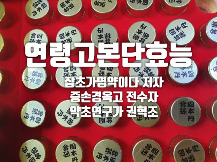  연령고본단 효능