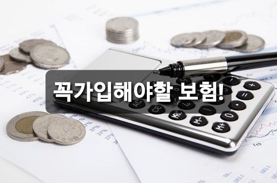  꼭 준비해야할 필수 보험