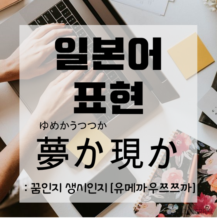  [일본어 공부] 일본어 표현 : 꿈인지 생시인지?! 일본에서는 이렇게! 夢か現か