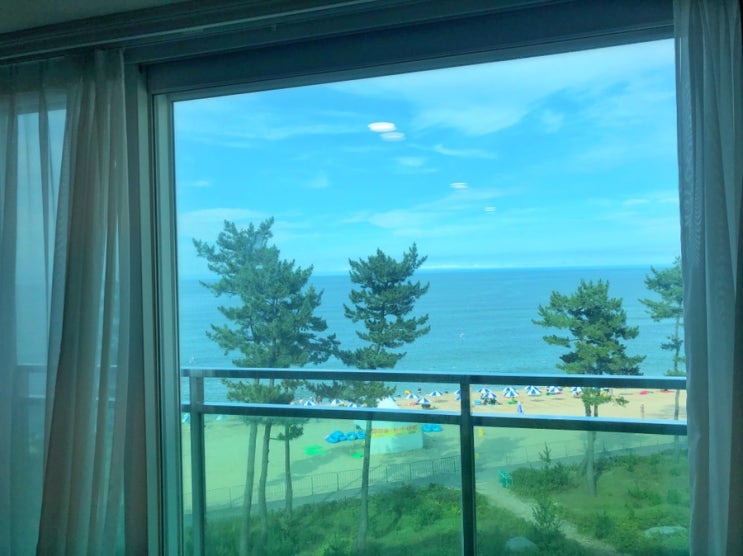  [강릉여행] 경포대 숙소 추천, 강문해변 오션뷰 호텔, Goodstay SOO HOTEL 수호텔
