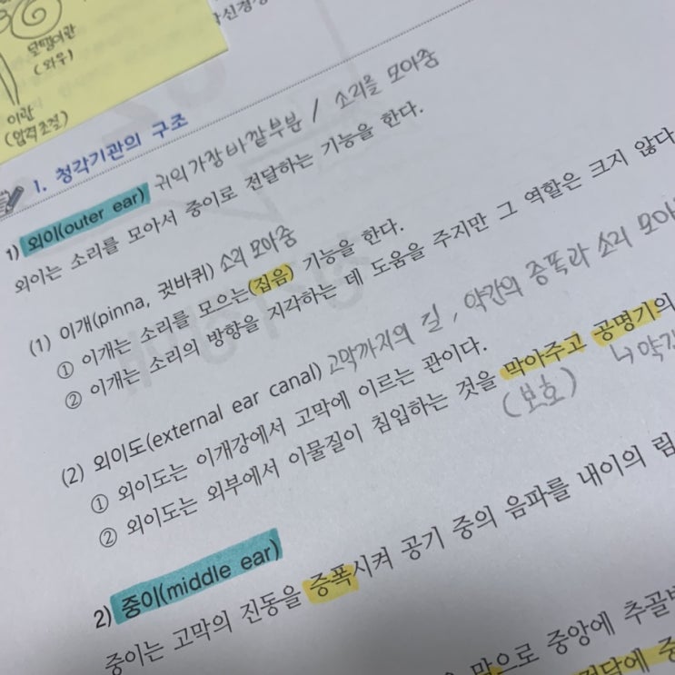  대학생 일상 33. 공부 시작 