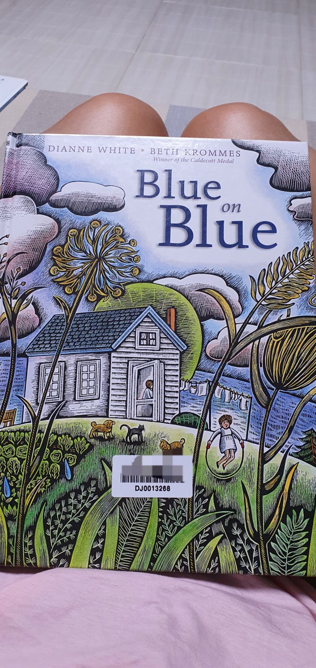 Blue on Blue 장마에 딱인 아이 동화책