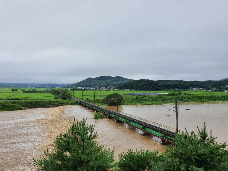  [20200802] 충북,경북 당일치기 여행 2편 (부제 : 폭우로 열차는 운휴)