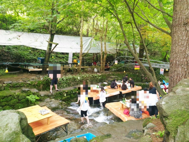  원주 금대리 통나무집 계곡 백숙