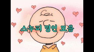 스누피 명언 모음 스누피 명언 모음