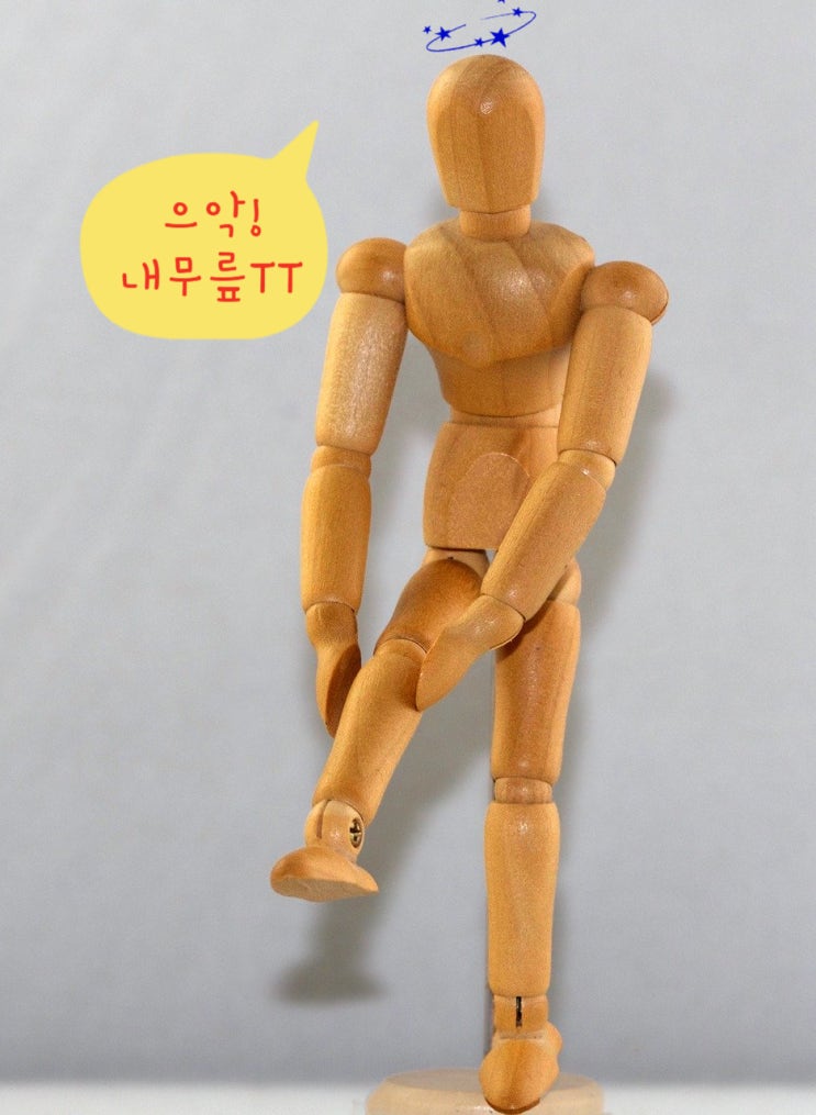  나우푸드 보스웰리아, 무릎 아플 때 효과 굿!