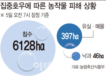 장마 피해 커지는데…54만곳, 농작물재해보험 ‘사각지대’ 장마 피해 커지는데…54만곳, 농작물재해보험 ‘사각지대’