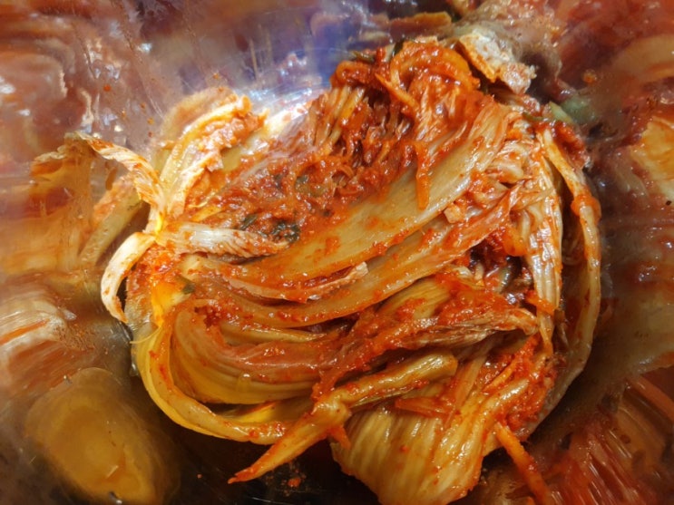  인스턴트팟/ 묵은지 김치찌개