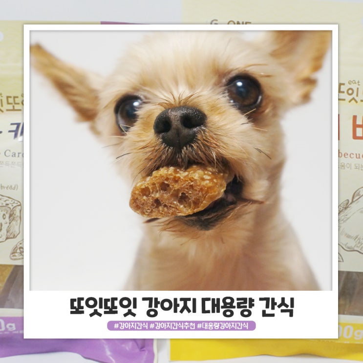 강아지간식추천 또잇또잇 대용량간식 양 많아서 좋아요 강아지간식추천 또잇또잇 대용량간식 양 많아서 좋아요