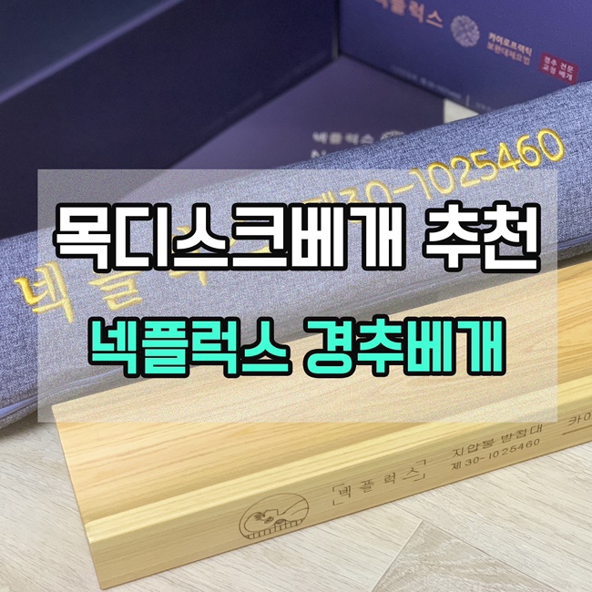  [목디스크베개 추천] 넥플럭스 경추베개
