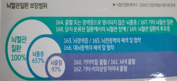  [보험정보]뇌혈관질환