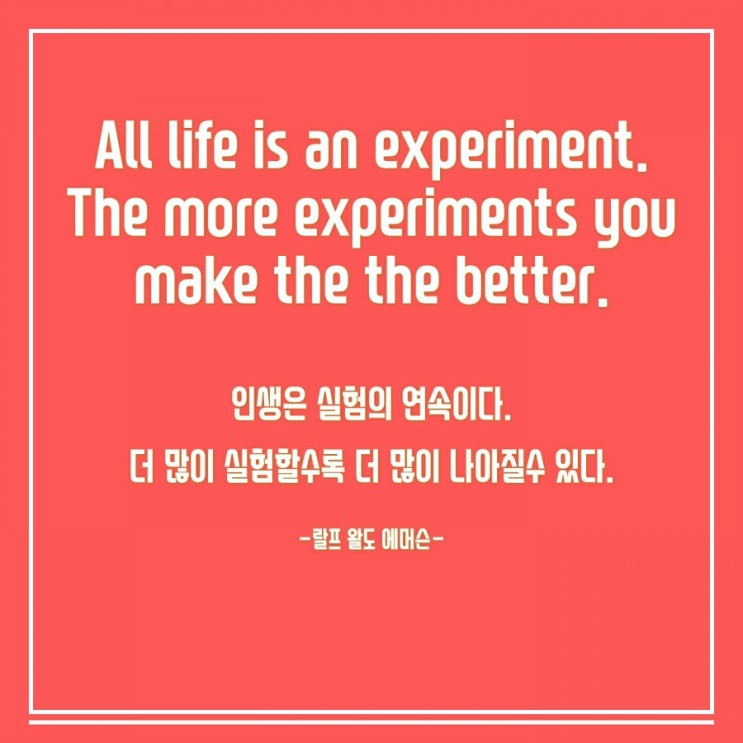  오늘 하루도 걱정없이, 영어( 바른독학영어 유진쌤의 책)