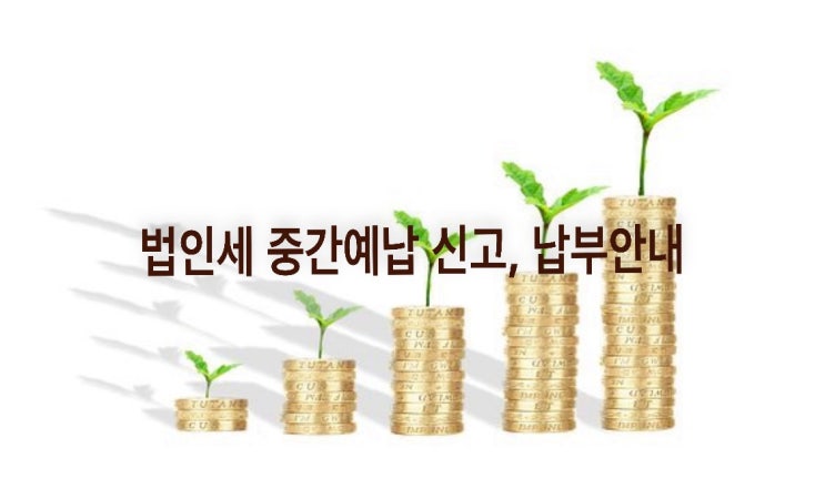  법인세 중간예납 신고, 납부안내