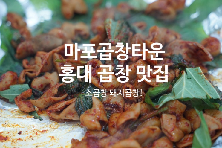  홍대곱창맛집: 마포곱창타운 방문 후기