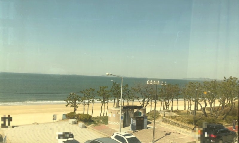 [충남 보령] 대천 오션뷰 호텔 대천 오션뷰 숙박 대천 호텔 봄