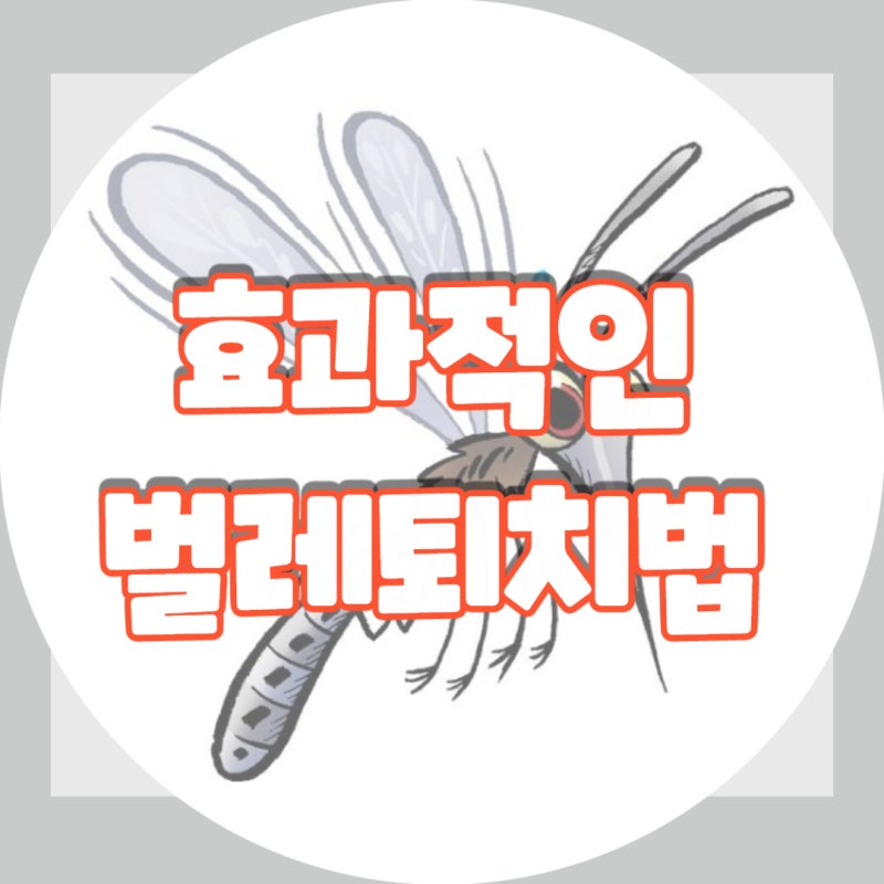 벌레와 싸우는 데 효과적인 허브