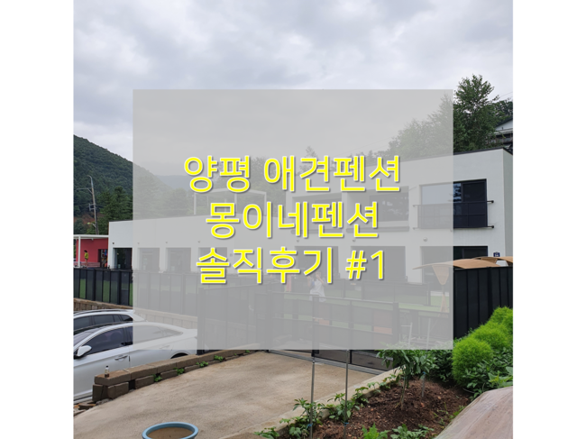  양평 애견펜션 넓은 개별 운동장, 수영장까지 갖춘 몽이네펜션 #1