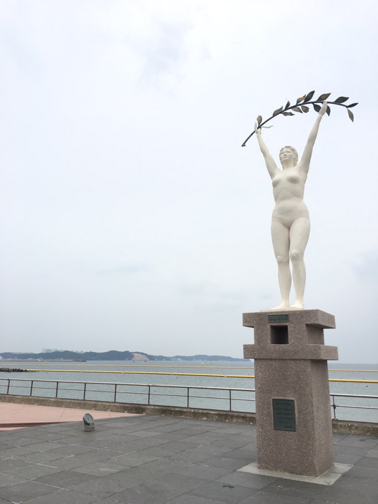  포항 송도해수욕장, 송도 솔밭 도시숲  아이들 데리고 놀기 좋은 곳 추천!!