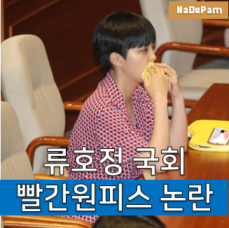  류호정 빨간 원피스 국회복 정의당 류호정 국회위원의 프로필 나이, 학력