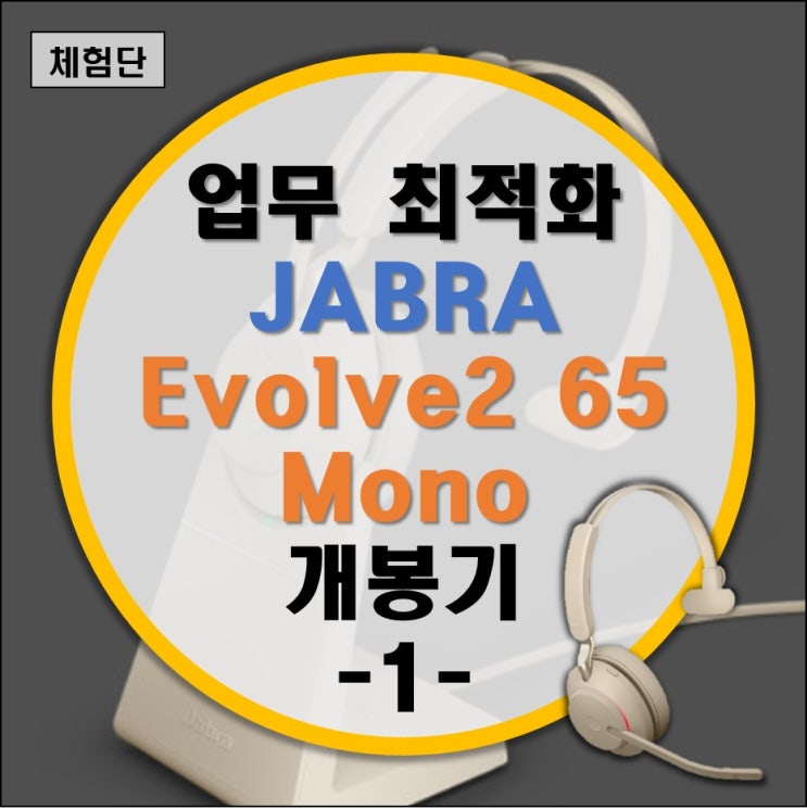 Jabra Evolve2 65 Mono 자브라 이볼브2 65 모노 MS Teams 팀즈/Zoom 줌/Skype 스카이프 업무용 무선 헤드셋 리뷰 -개봉기-