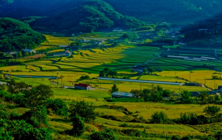  한번 박을걸