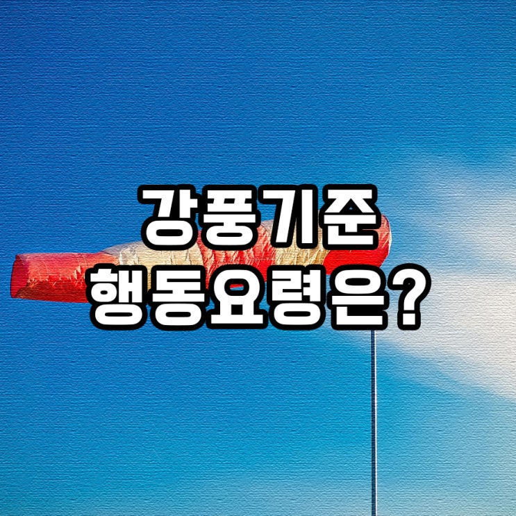  강풍기준 행동요령 어떻게?