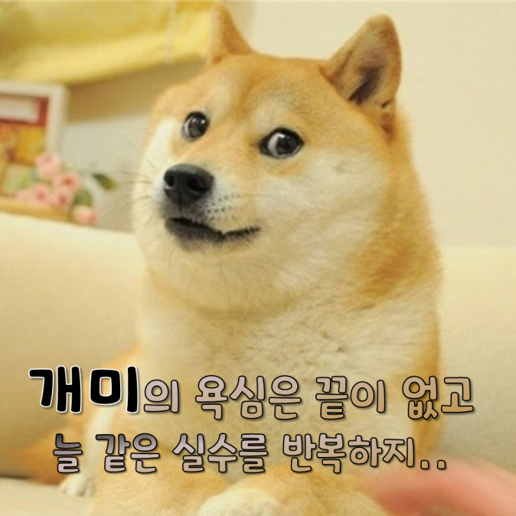  코닥 우리도 이미 다 알고 있었잖아요?