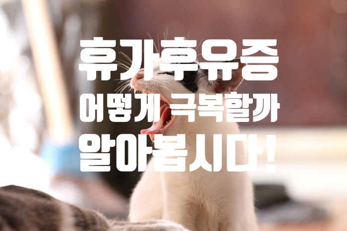  와.. 휴가 후유증 이 너무 심해.. 증상과 극복 방법을 알아보자!