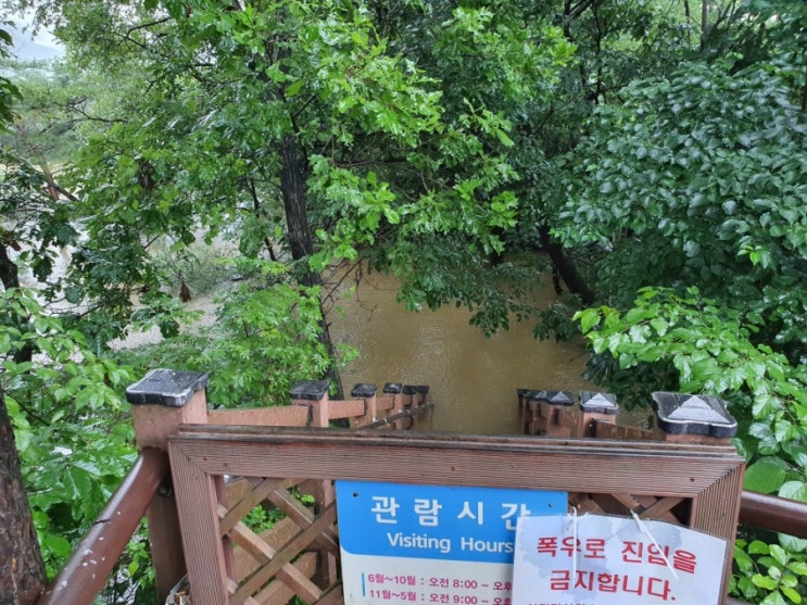 비둘기낭 침수 [수호1004윤충식]