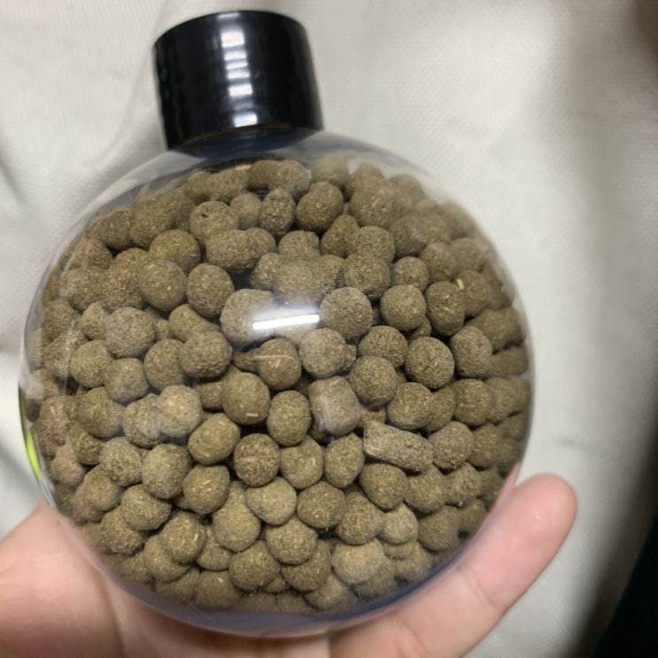  함초 / 함초환 / 건강식품 / 엄마찬스 / 다이어트 / 변비 / 당뇨예방 / 퉁퉁마디 / 변비탈출 / 순한변비약 / 변비에좋은식품