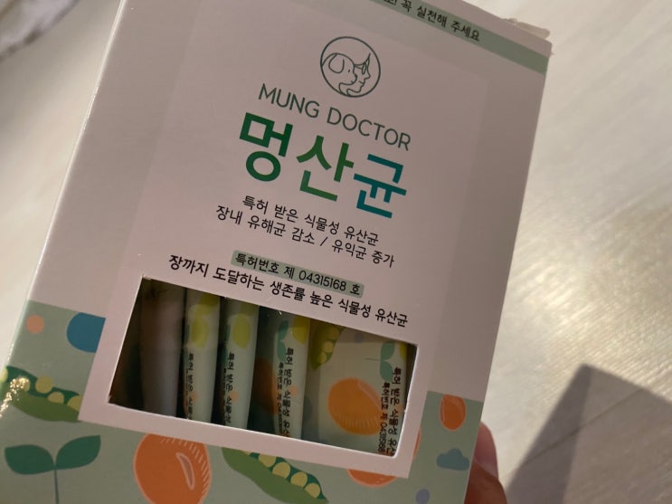  강아지 식물성 유산균 이제야 알게되다니!