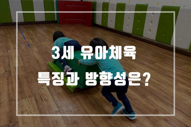  3세유아체육과 4세유아체육의 차이점과 특징들 :1부 3세
