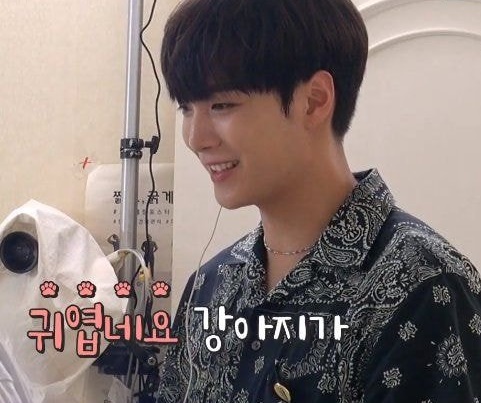 뉴이스트 종현이는 진짜 다 좋아하나봐 뉴이스트 종현이는 진짜 다 좋아하나봐