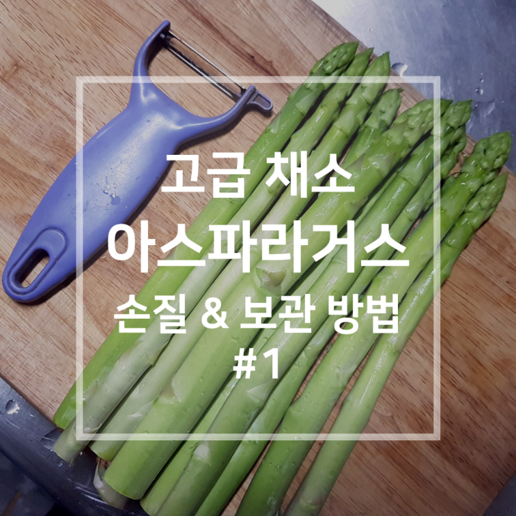  고급 채소 아스파라거스 | 손질 & 보관 방법  #1 손질 방법