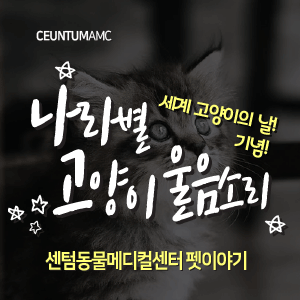  세계 고양이의 날 기념! 나라별 고양이 울음소리
