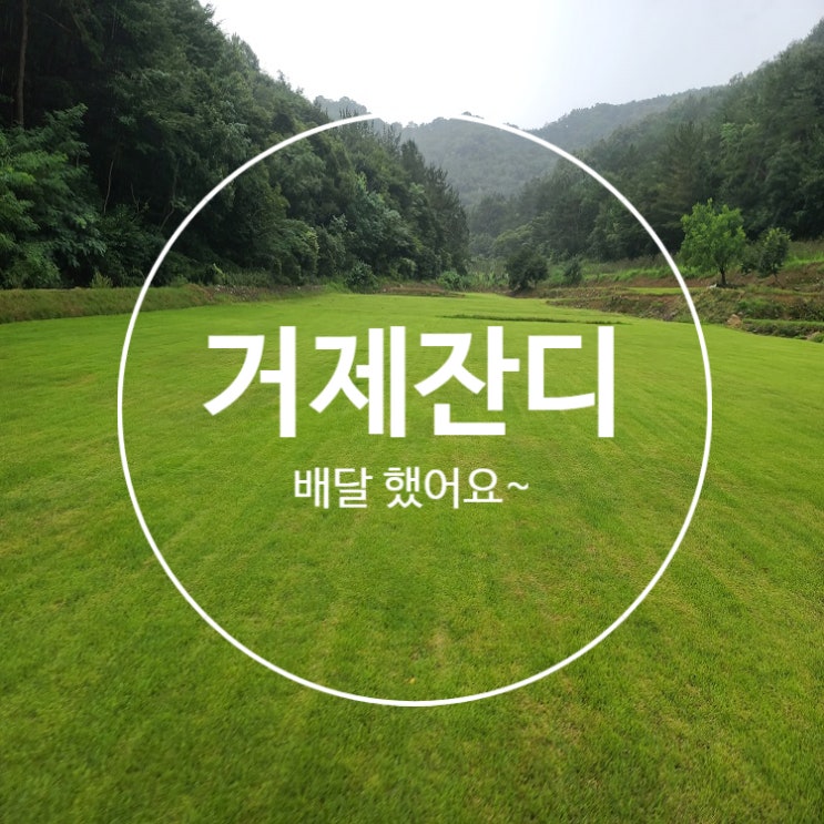  우리나라에서 두 번째로 큰 섬 거제에 잔디 배송했어요