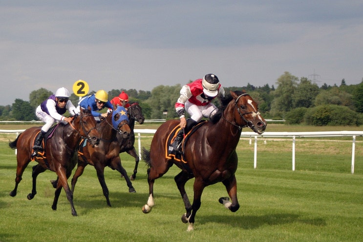  입추인 오늘 특별히 생각 나는 것