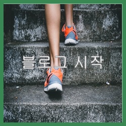  블로그 다시 새로 시작하기