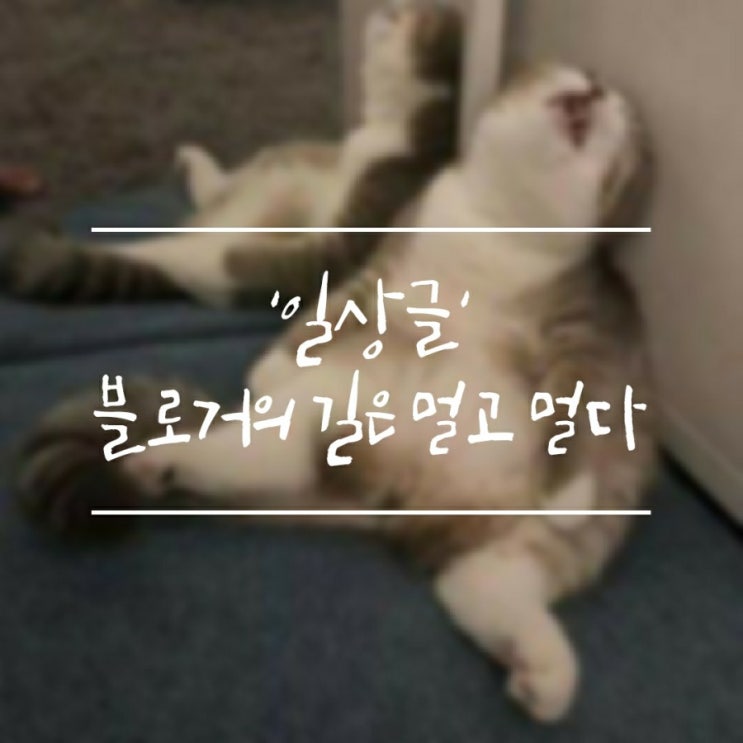  [일상] 아직도 배울게 너무 많다...
