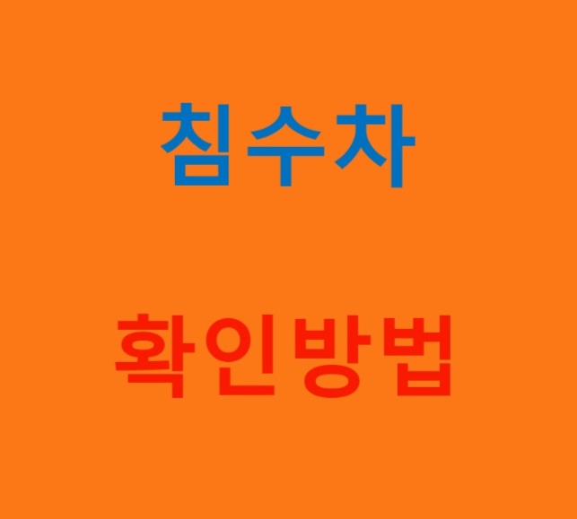  침수차 확인방법