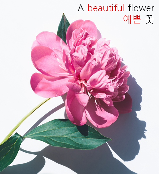  형용사를 뭐라고 설명해 줄까 ? 초등영어홈스쿨링 아이들이 어려워하는 개념