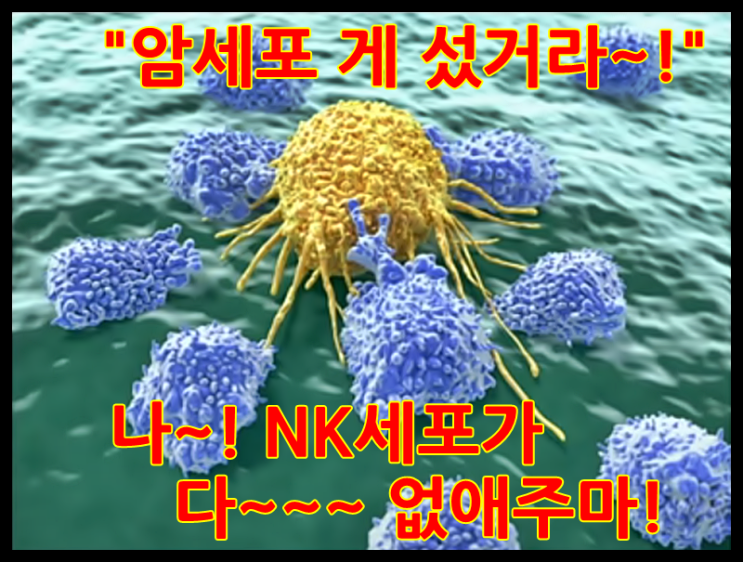  암 세포 사냥꾼, NK세포를 활성화 해볼까?