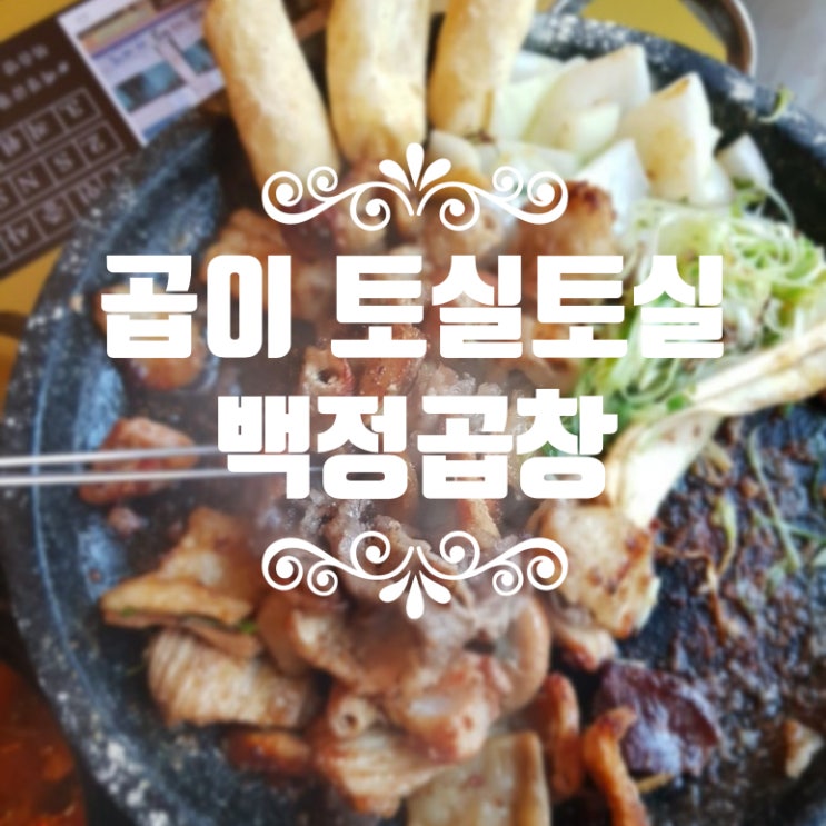 곱이 토실토실 당산역 맛집 백정곱창