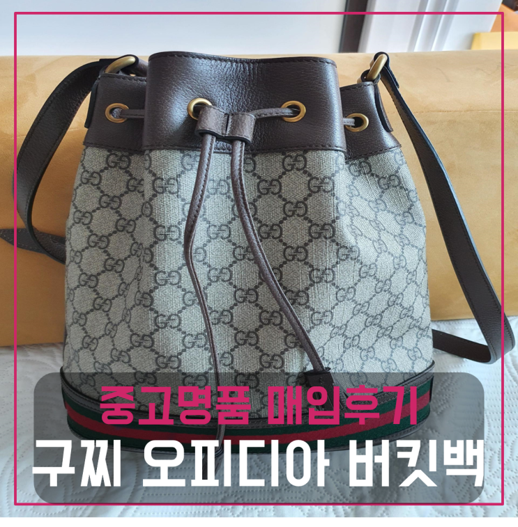  구찌 오피디아 GG 슈프림 버킷백 팔기 중고매입후기