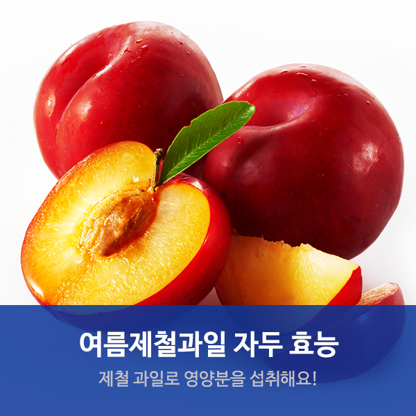 수원요양병원추천 여름제철과일 "자두의 효능"