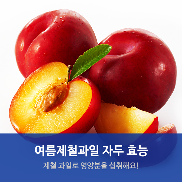  수원요양병원추천 여름제철과일 "자두의 효능"