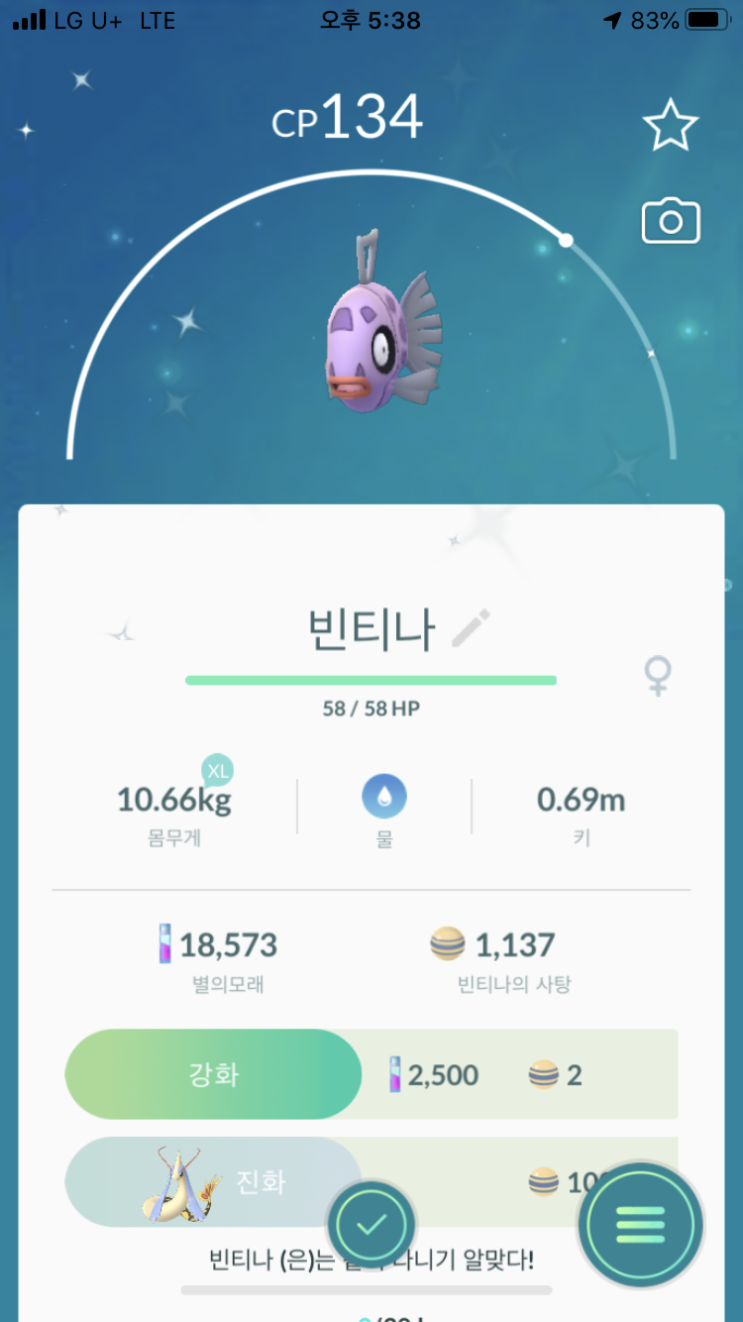  빈티나 이로치